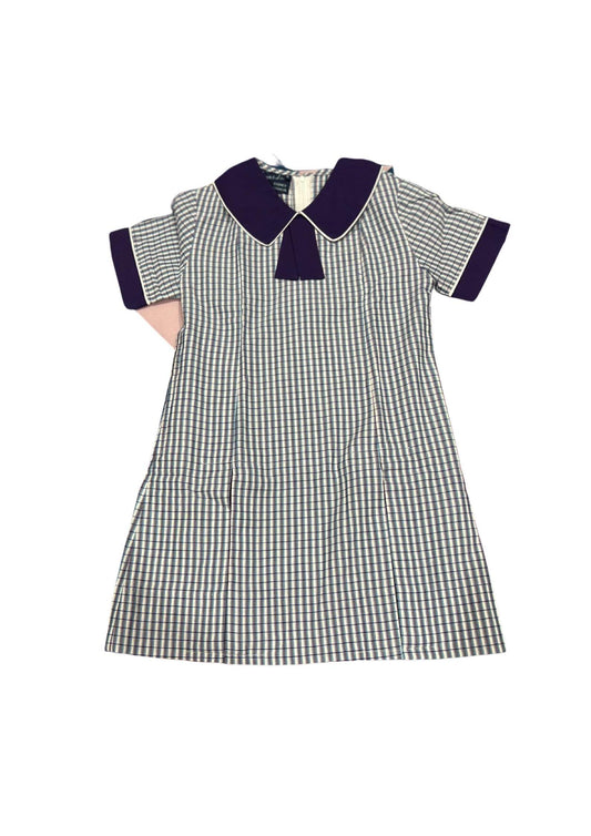 Summer Dress (Term One and Term Four)